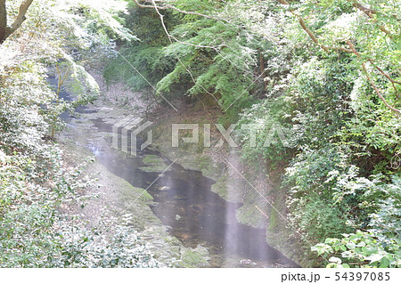 川に太陽の光が注いでいる風景 川に太陽の光が注いでいる風景 54397085