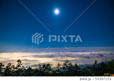 《山梨県》甘利山・大雲海が広がる甲府盆地の夜景 54397133