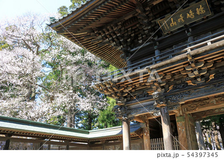 瑞鳩峰山報恩寺の山門 54397345