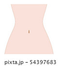 女性　お腹 54397683