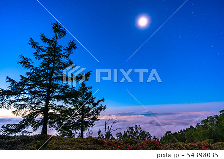 《山梨県》甘利山・大雲海が広がる甲府盆地の夜景 54398035