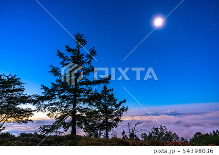 《山梨県》甘利山・大雲海が広がる甲府盆地の夜景 54398036