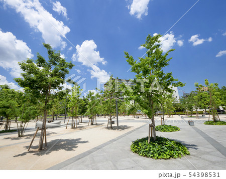 埼玉県川口市 並木元町公園の写真素材