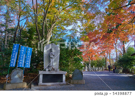 東京八王子市の秋の高尾山 仏舎利塔付近 54398877