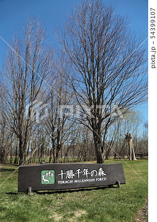 十勝千年の森（北海道清水町） 54399107