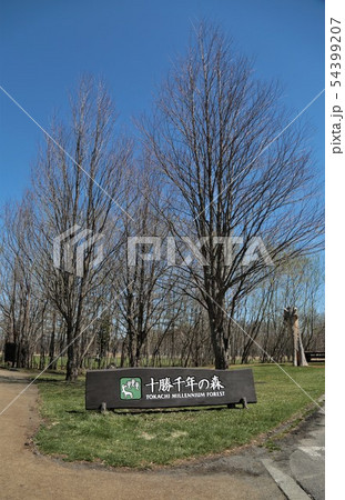 十勝千年の森（北海道清水町） 54399207