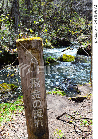 奥入瀬渓流 奥入瀬渓流 54399672