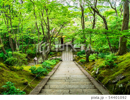 京都　常寂光寺 54401092