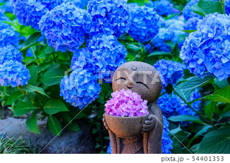 紫陽花と地蔵　雲昌寺 54401353