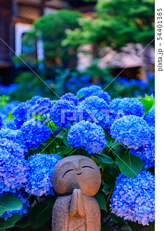 紫陽花と地蔵　雲昌寺 54401365