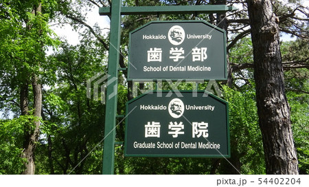 北海道大学歯学部　札幌市北区 54402204