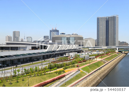 豊洲市場 54403037
