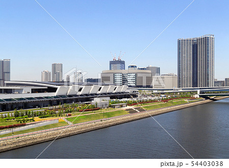 豊洲市場 54403038