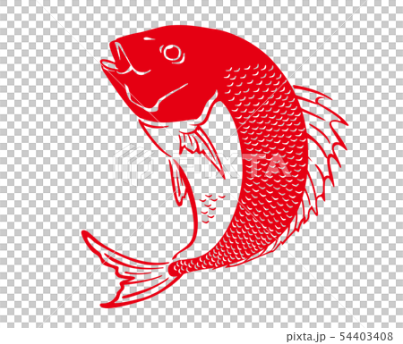鯛　タイ　たい　イラスト 54403408