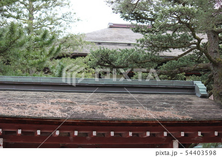 成巽閣の屋根 成巽閣の屋根 54403598
