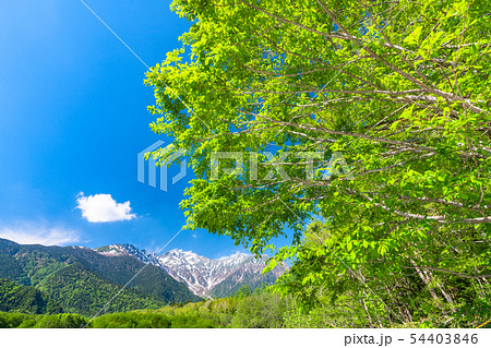 《長野県》初夏の上高地・新緑の大正池 《長野県》初夏の上高地・新緑の大正池 54403846