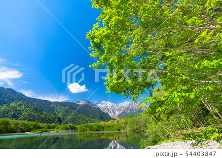 《長野県》初夏の上高地・新緑の大正池 54403847