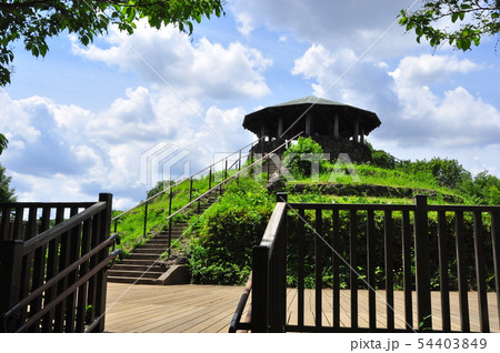 神奈川県立四季の森公園 展望台と新緑 神奈川県立四季の森公園 展望台と新緑 54403849