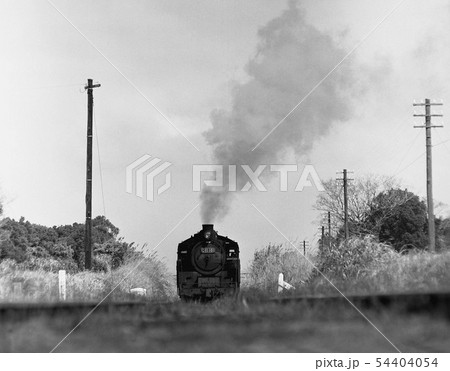 SL風景 遠景写真 モノクロ SL風景 遠景写真 モノクロ 54404054