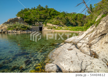 島根県、温泉津、櫛島公園の海岸（令和元年5月） 54404612