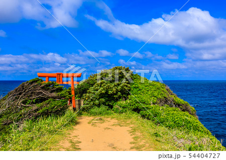 左京鼻　左京鼻龍神　【長崎県壱岐市】 54404727