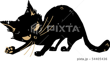 黒猫 黒猫 54405436