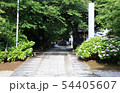 雨上がりの寺院山門 雨上がりの寺院山門 54405607