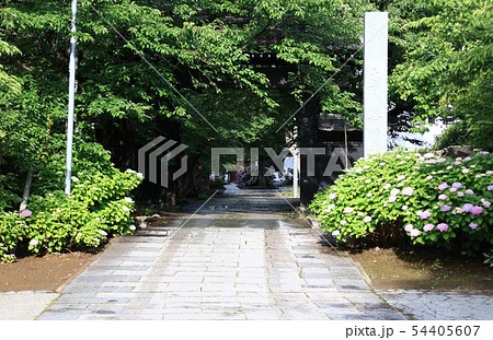 雨上がりの寺院山門 雨上がりの寺院山門 54405607
