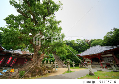 四国第六十九番観音寺 本堂 四国第六十九番観音寺 本堂 54405716