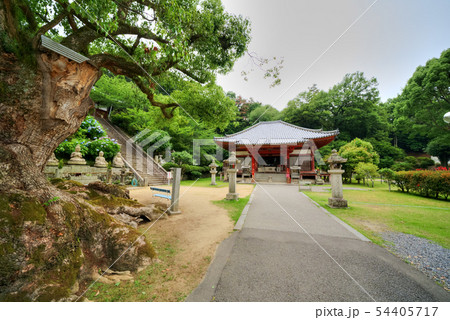 四国第六十九番観音寺 本堂 四国第六十九番観音寺 本堂 54405717