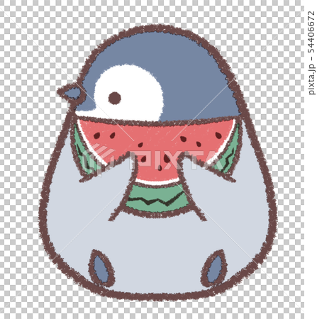 Penguin chicks watermelon sideways 54406672