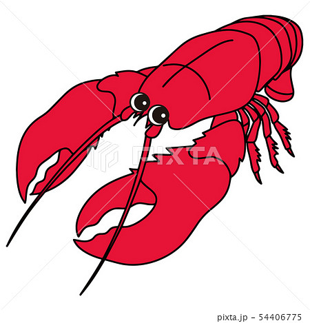 ロブスター Lobster オマール海老 キャラクター イラスト ベクターのイラスト素材