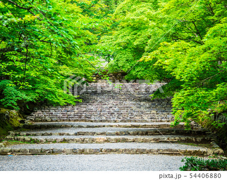 春の京都 二尊院 春の京都 二尊院 54406880