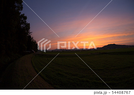 japanese rice field with sunset japanese rice field with sunset 54408767