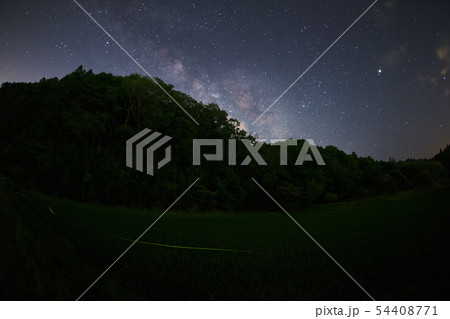 firefly and milky way  54408771