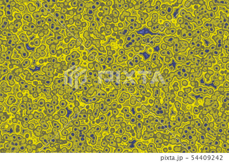 Shape of bacterial cell 54409242