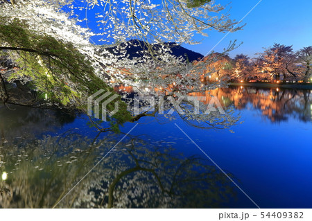 【長野県】臥竜公園の夜桜 【長野県】臥竜公園の夜桜 54409382