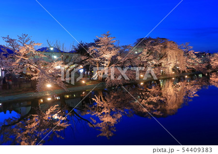 【長野県】臥竜公園の夜桜 【長野県】臥竜公園の夜桜 54409383