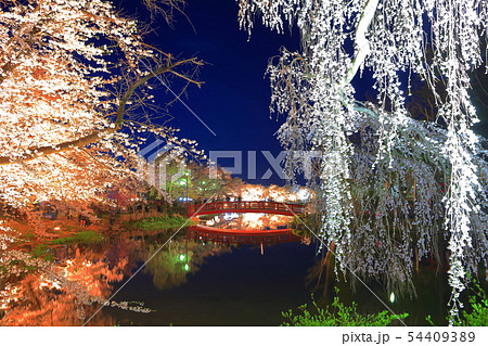 【長野県】臥竜公園の夜桜 54409389