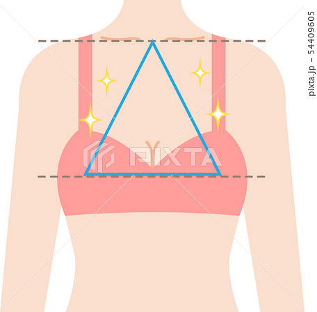 きれいなバスト　正三角形のシェイプ 54409605