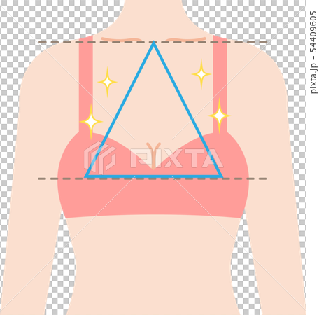 きれいなバスト　正三角形のシェイプ 54409605