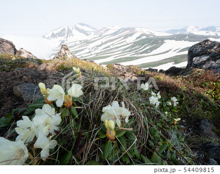 大雪山 白雲岳 残雪期 54409815