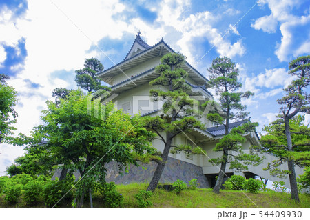 初夏の騎西城 初夏の騎西城 54409930