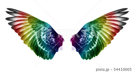 Pinion on the sprawling white  background 54410005