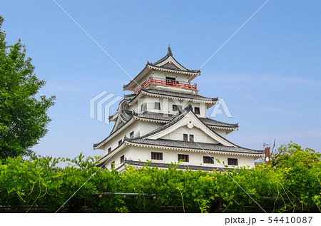 唐津城天守閣と大藤 唐津城天守閣と大藤 54410087