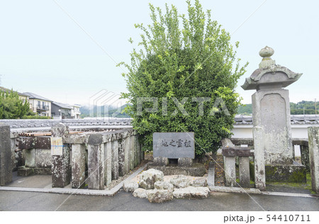 井伊家初代の井伊共保が出生したと伝わる井戸(静岡県浜松市) 井伊家初代の井伊共保が出生したと伝わる井戸(静岡県浜松市) 54410711