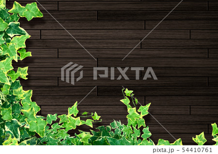 背景素材 54410761