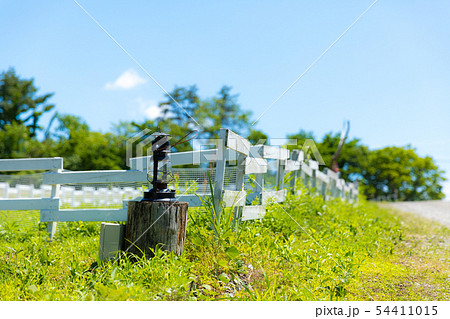 夏 山 キャンプ 柵 ランプ 夏 山 キャンプ 柵 ランプ 54411015