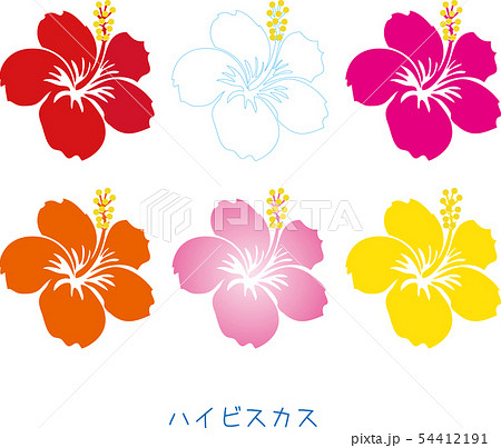 南国奄美の花ハイビスカス左向きのイラスト素材