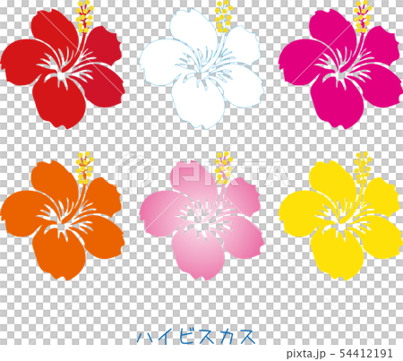 南国奄美の花ハイビスカス左向き 南国奄美の花ハイビスカス左向き 54412191